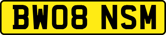 BW08NSM