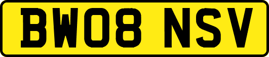 BW08NSV