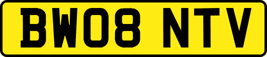 BW08NTV