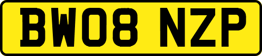 BW08NZP