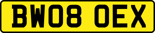 BW08OEX