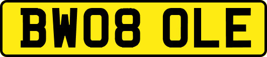 BW08OLE