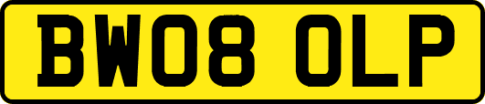 BW08OLP