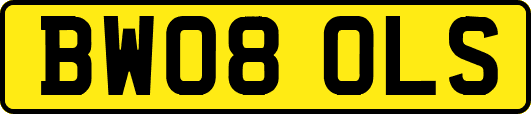 BW08OLS