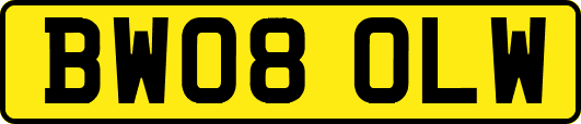 BW08OLW