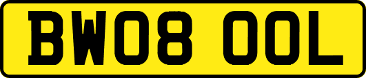 BW08OOL