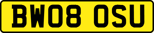 BW08OSU