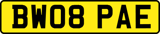 BW08PAE