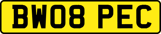 BW08PEC