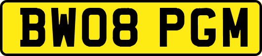 BW08PGM