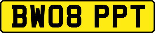 BW08PPT