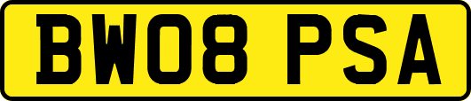 BW08PSA