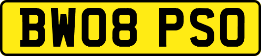BW08PSO