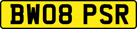 BW08PSR