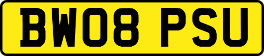 BW08PSU
