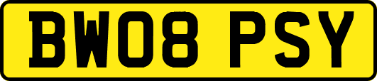 BW08PSY