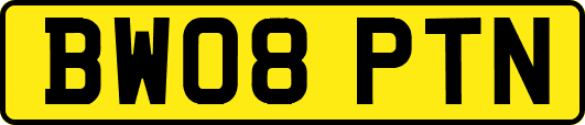 BW08PTN