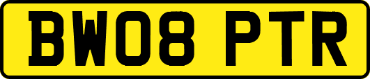 BW08PTR
