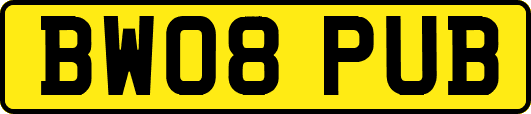 BW08PUB