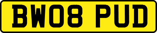 BW08PUD