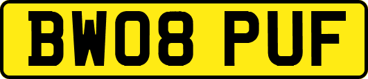 BW08PUF