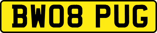 BW08PUG