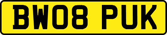BW08PUK