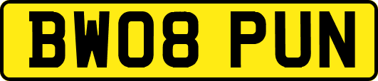 BW08PUN