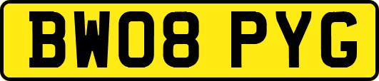BW08PYG