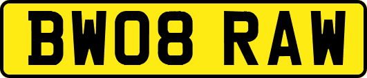 BW08RAW