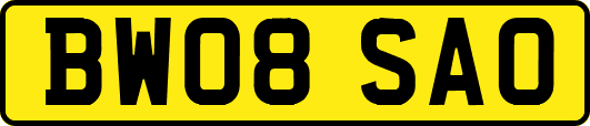 BW08SAO