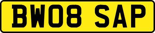 BW08SAP