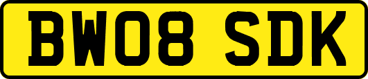 BW08SDK