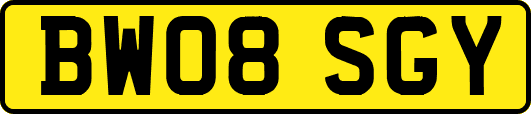 BW08SGY