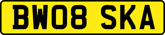 BW08SKA