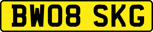 BW08SKG