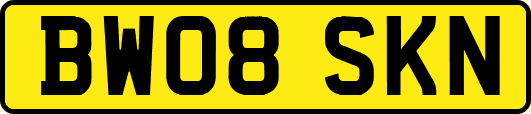BW08SKN