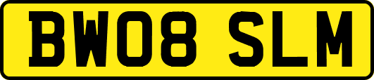 BW08SLM