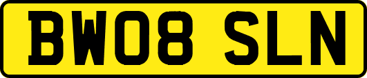 BW08SLN