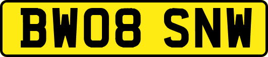 BW08SNW