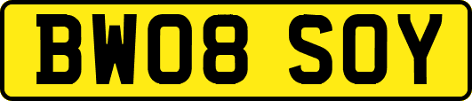 BW08SOY