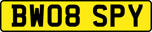 BW08SPY