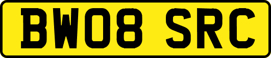 BW08SRC