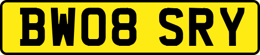 BW08SRY