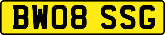 BW08SSG