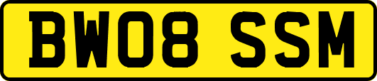 BW08SSM