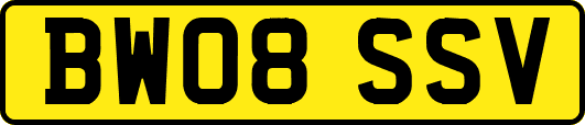 BW08SSV