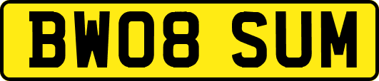 BW08SUM
