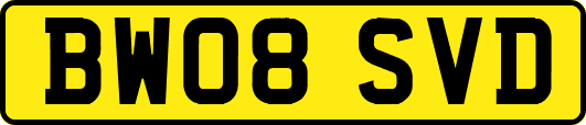 BW08SVD