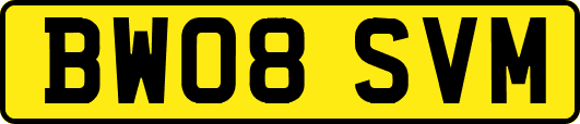 BW08SVM
